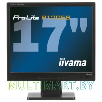 Монитор Iiyama ProLite P1705S